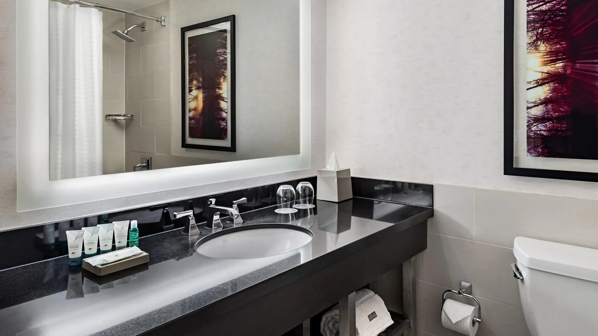 Hotel The Westin Harbour Castle, Toronto 4*,  Kanada